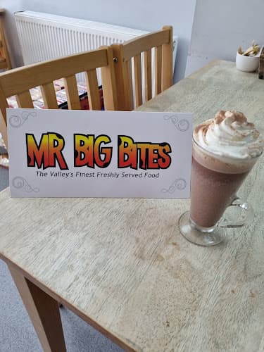 Mr big BITES