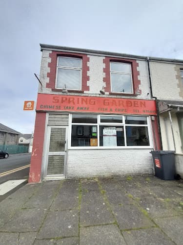 SPRING GARDEN Chinese Fish And Chips Takeaway